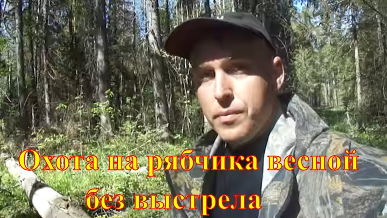 Рябчик #7 Весенняя охота. Охота на рябчика без выстрела