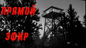 ПРЯМОЙ ЭФИР... Страшные истории на ночь. Страшилки. Ужасы