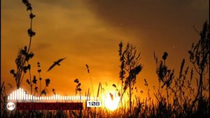 ДиДюЛя - Словно ветер в степи