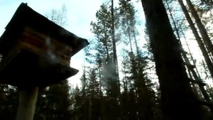 Идеальный "Лобаз" для хранения продуктов в тайге