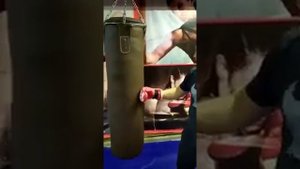 Тест новых боксерских мешков от Green Hill  PBR 9026 (кожзам "Ретро").