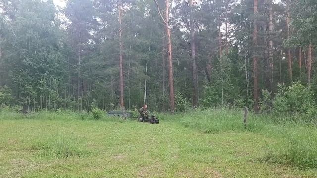 Заготовка сена для кроликов