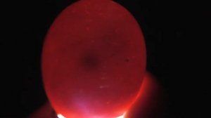 🐤ИНКУБАЦИЯ КУРИНЫХ ЯИЦ🐔 ОВОСКОПИРОВНИЕ НА 7 ДЕНЬ