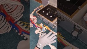 БЭМ.❗️ПРОСТАТА❗️#германия #здоровье #fohow #биоэнергетика #протата