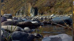 Осеннее утро.(автор Николай Терских,фото Юлия Кононенко)