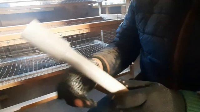 Ниппельная поилка для перепелов из круглой трубы/Ниппельная поилка своими руками/Перепела ТЕХАС