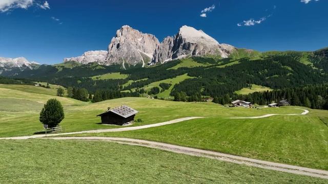 УНИВЕРСАЛЬНЫЙ ПАЛЕЦ САФАРА, САЛФЕТКА НЕ НУЖНА КОГДА ЕСТЬ ПАЛЕЦ смотреть онлайн