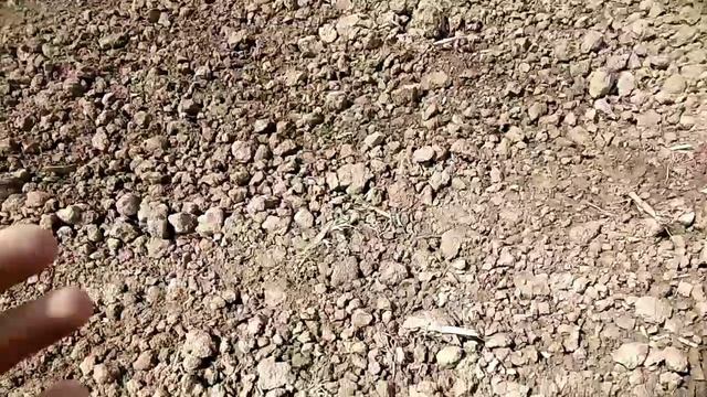 #XPDEUS #MMK #ACE400I #хоббинаходкикоп Вот они какие места для копа. Metal Detecting. смотреть онлайн