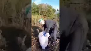 русские бабы, коня на скаку остановят