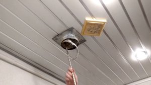 Воробьи в дымоходе!