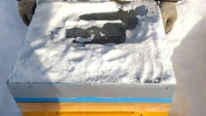 Зимовка Бакфаст на воле в ульях ППУ и ППС , при экстремальных отрицательных температурах .
