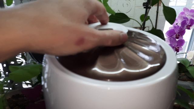 Увлажнитель воздуха