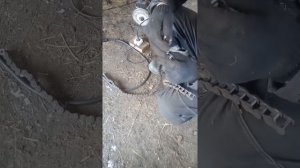 Цепи на колеса т 25