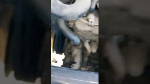 Метки ТНВД 4hf1 nkr66e