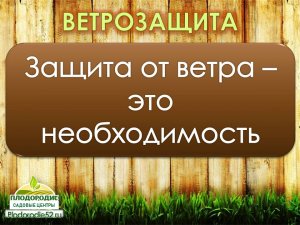 Планирование участка. Ветрозащита