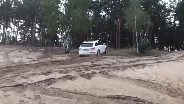 Audi Quattro (Torsen) Compilation