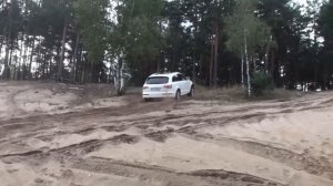 Audi Quattro (Torsen) Compilation