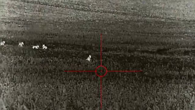 Iray Rico Mk1 640 смотреть онлайн