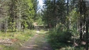 Лебяжье. Отдых в Ленинградской области