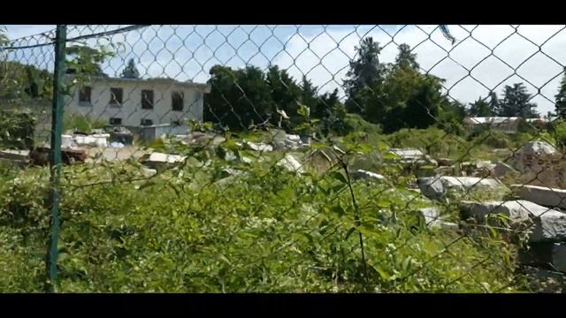 Italia/Parma/Жара в Парме и треск цикад/Парма не туристическая/Случайно набрела на знакомую улицу смотреть онлайн