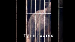 Мини блогер и мои путешествия. Питер.