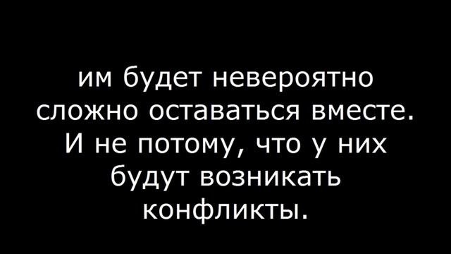 Стрелец и Стрелец ДРУЖБА