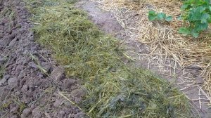 СУПЕР ОРГАНИЧЕСКОЕ УДОБРЕНИЕ!🌱🌱🌱