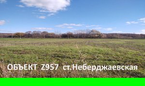 Нужен участок 2,5 гектара с огромным плодоносящим садом на юге?