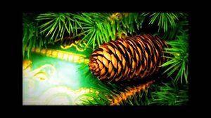 Константин Георгиевич Паустовский. Корзина с еловыми шишками (аудиорассказ).