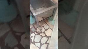 пытались вызвать ханако