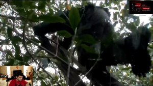 Verni Shavermy Смотрит Выживание с Эдом 22.11.2020