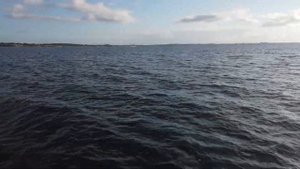 Рыбалка на Море с лодки на треску, камбалу и селедку. Dorsch mit gummifisch fangen