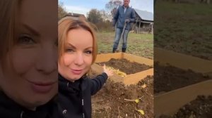 Я буду выращивать огромную тыкву?