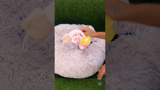 МОЙ ПИТОМЕЦ – ГЕНИЙ! МИЛЫЕ ЛАЙФХАКИ И ИДЕИ ПОДЕЛОК ДЛЯ ВАШИХ МИЛЫХ ПИТОМЦЕВ смотреть онлайн