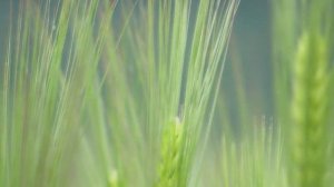 Топ-9 Простейших Бизнес идей в гараже! Бизнес идеи 2020! Бизнес идеи!