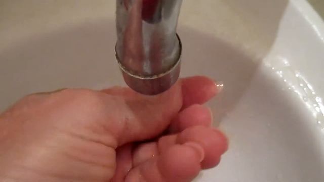 КЕДР. ВЫРАЩИВАНИЕ КЕДРА ИЗ СЕМЯН. смотреть онлайн