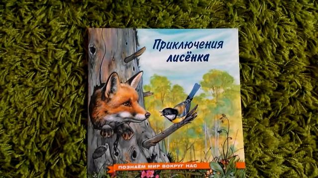 Книга приключение лисенка VID 20190422 100802 из Sulpak https://www.sulpak.kz/petropavlovsk смотреть онлайн