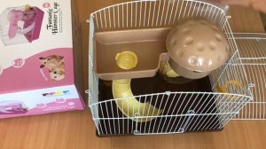 Хомячки джунгарики. Наши новые питомцы! Собираем клетку для хомячков.