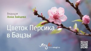 Цветок Персика в Бацзы