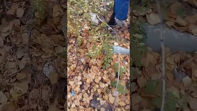 1 часть уборка мусора в лесу !!! смотреть онлайн