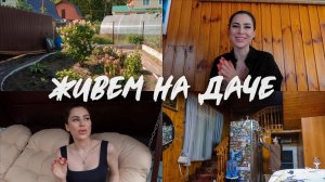 #ЖивемНаДаче 26| РЕАКЦИЯ НА ОЧЕРЕДЬ ЗА НОВЫМ АЙФОНОМ И ПАЛЕНЫЙ HERMES | РАЗБОР ХОЗ БЛОКА