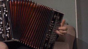 Талантливый гармонист Татарстана Адель Залялиев.
