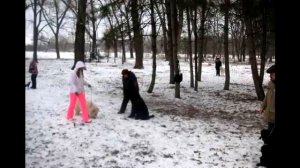 Русский черный терьер, дрессировка