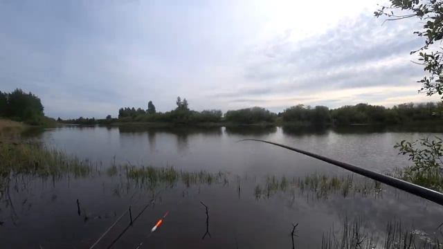 Ловля карася- С семьей 2021! Сбор мусора, шашлык отдых.. смотреть онлайн