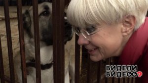 Несекретные материалы Илоны Броневицкой. Видели видео? Фрагмент выпуска от 08.12.2019