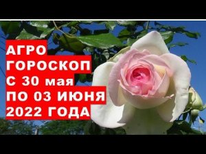 Агрогороскоп с 30 мая по 03 июня 2022 года