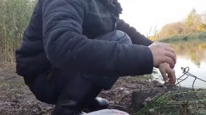 Эта приманка собирает крупных раков в пруду. Ловля раков 2021