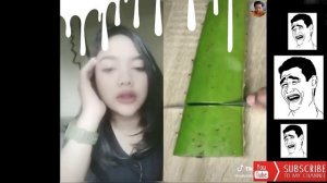 Girls React on Aloe Vera - TRY NOT TO LAUGH - Gap Filling Construction - See How They React - TikTo