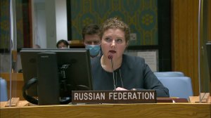 Statement by DPR Anna Evstigneeva at the Security Council briefing on Mali