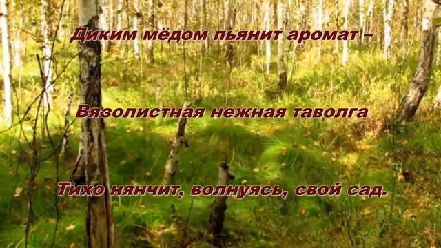 В летнем лесу Стихи Лилии Панлитви смотреть онлайн